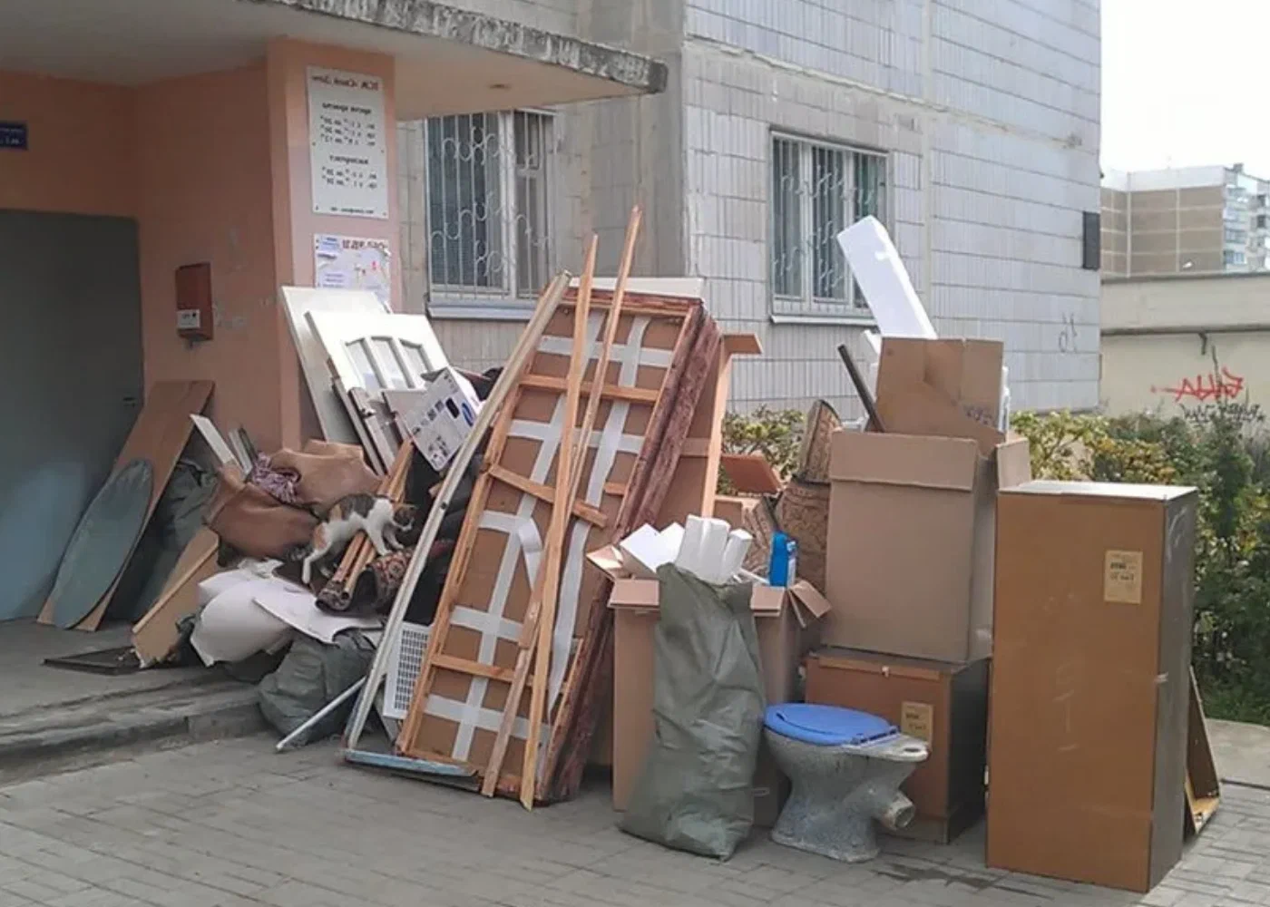 Профессиональный вывоз мусора из квартиры в Каменске-Шахтинском в октябре