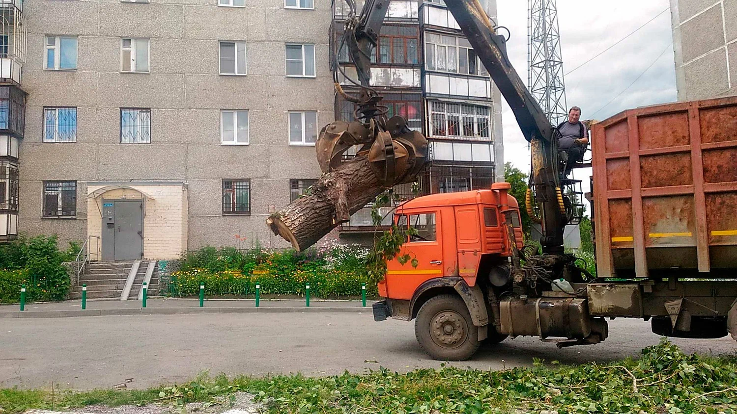 Вывоз спиленных веток и деревьев в Каменске-Шахтинском от ПроМусор: порубочные остатки, утилизация, цена от 2987 руб