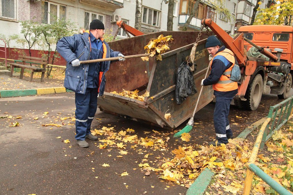 Вывоз опавшей листвы и растительного мусора в Каменске-Шахтинском от ПроМусор – цена от 4635 руб., быстрая уборка и утилизация